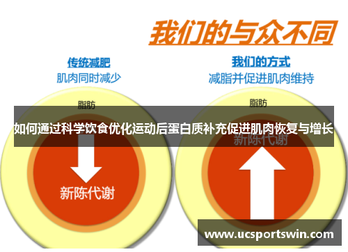 如何通过科学饮食优化运动后蛋白质补充促进肌肉恢复与增长