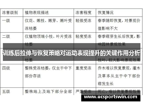 训练后拉伸与恢复策略对运动表现提升的关键作用分析